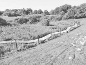 Ein Weg, der sich in leichten Biegungen durch die Landschaft schlängelt